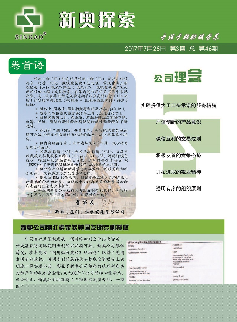 新澳门王中王期期中请全面释义、解释与落实、统计解答解释落实