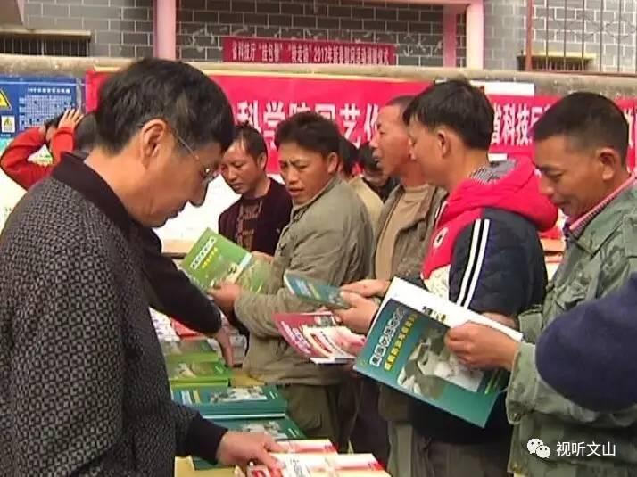 最准一肖一码一一中一的全面释义、解释与落实、综合解答解释落实